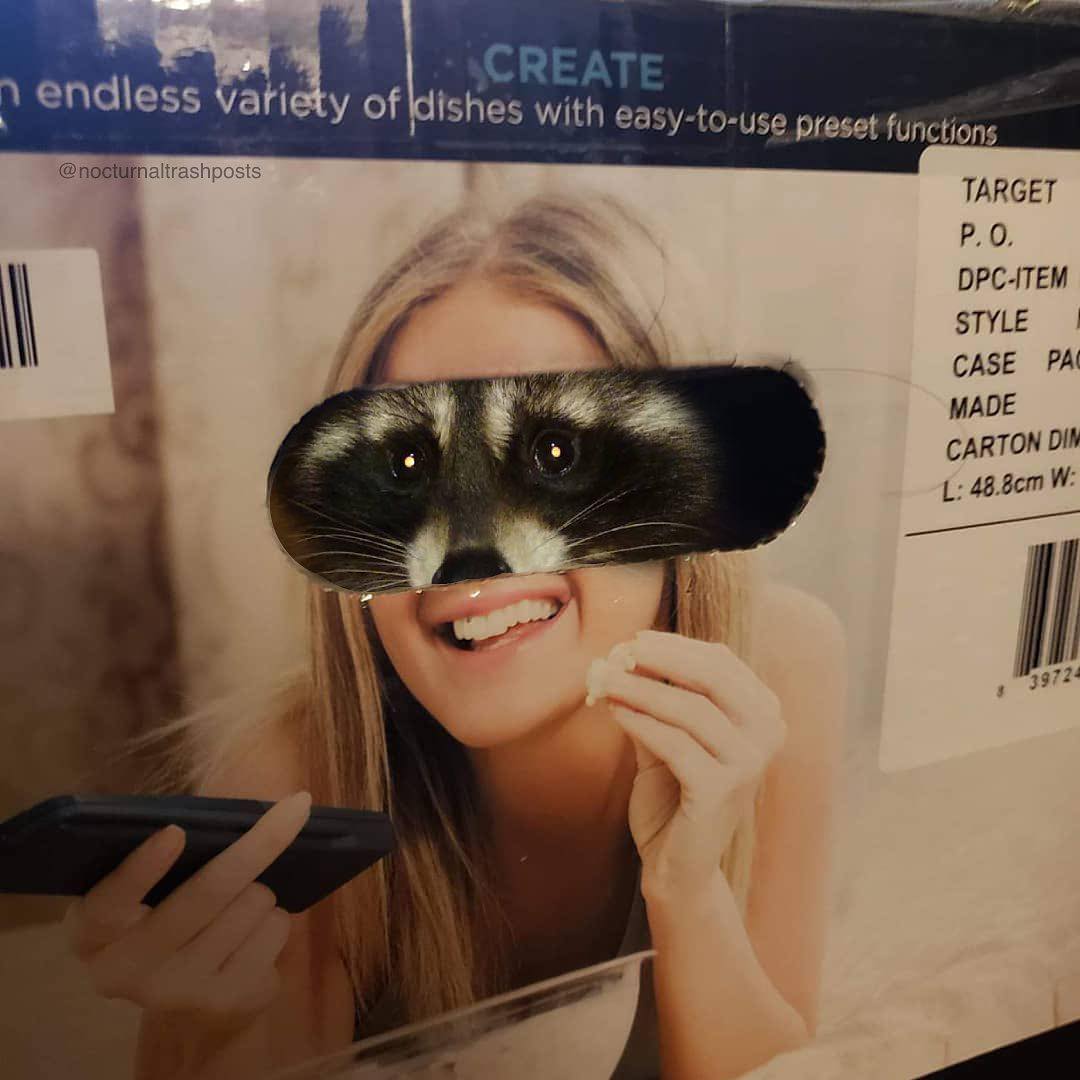 The meme is an image of a person holding a phone, but their face has been replaced with a cat's face. The text "I can see your face" is written above the image, but it's been edited to say "I can see your face... but it's a cat".